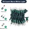50 Count Clear Christmas Tree Lights with Green Wire - 10 ft Warm White Mardi Gras Lights for Indoor or Outdoor Use - Holiday Fairy String Light for Christmas Trees, Patios, and More